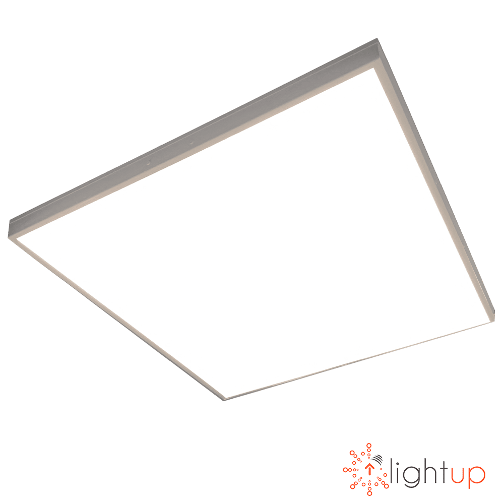 АРМСТРОНГ SCHOOL